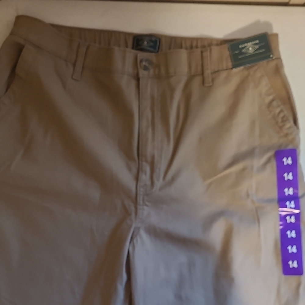 G.H. Bass & Co. Brown Chino Pants